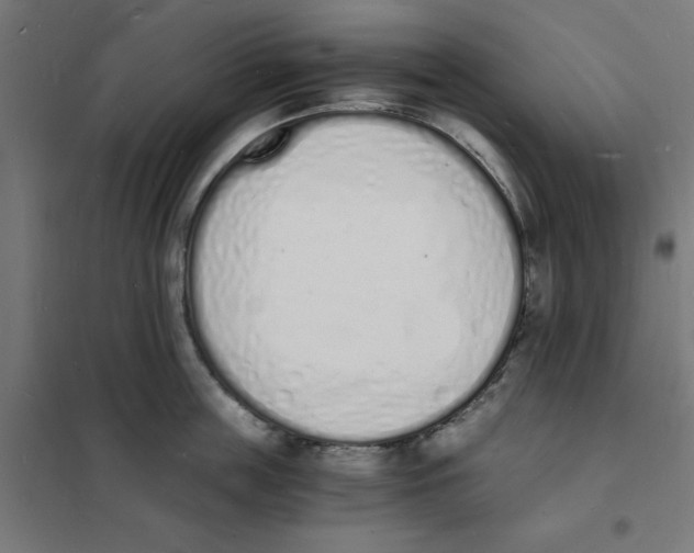 X0000101670859200808071043