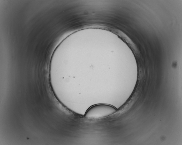 X0000101670860200808071043
