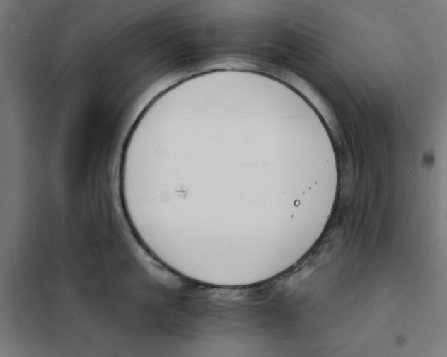 X0000101670861200808071043