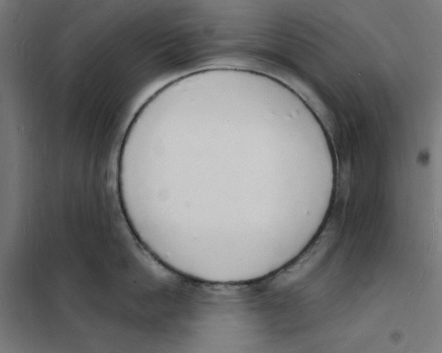 X0000101670862200808071043