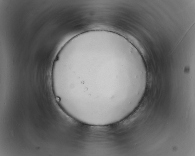 X0000101670863200808071043