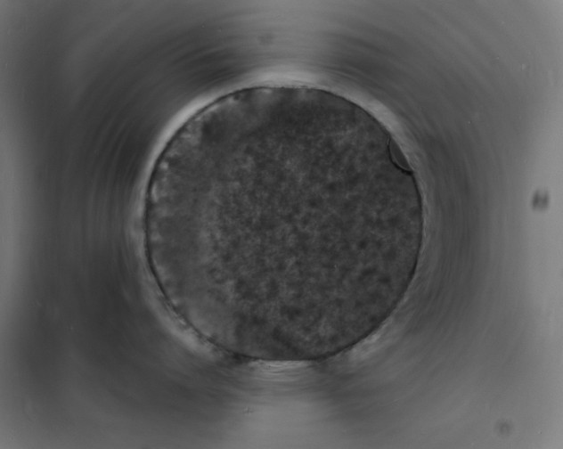 X0000101670864200808071043
