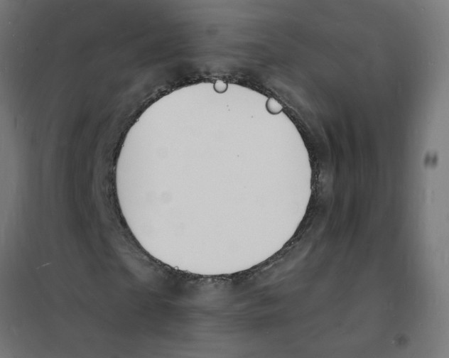X0000101670865200808071042