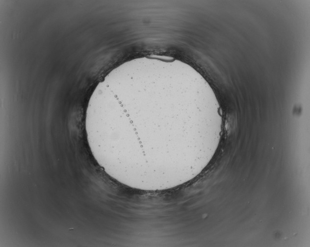 X0000101670867200808071042