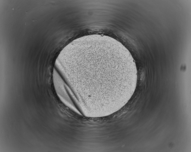 X0000101670868200808071042