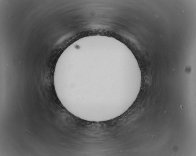 X0000101670869200808071042