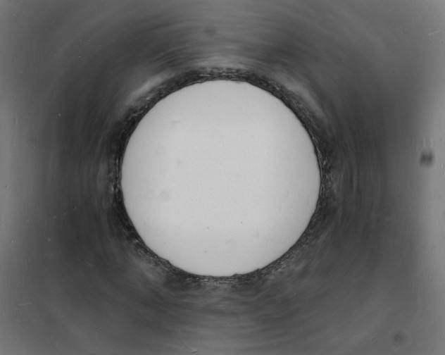 X0000101670870200808071042