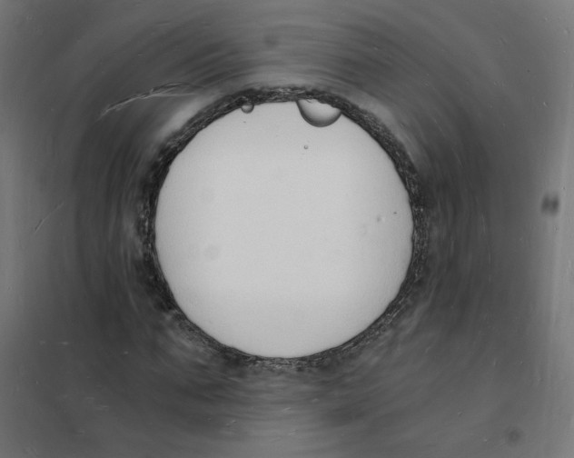 X0000101670871200808071042