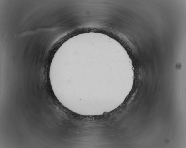 X0000101670872200808071042