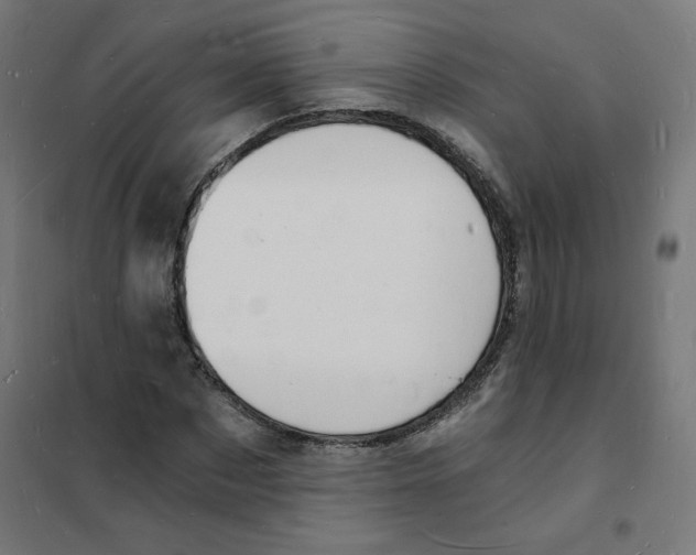 X0000101670873200808071042