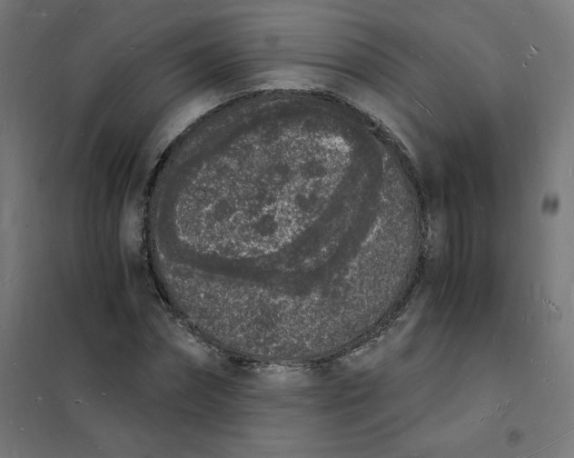 X0000101670874200808071042