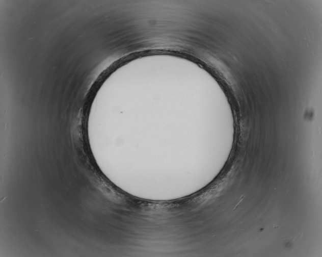 X0000101670875200808071042