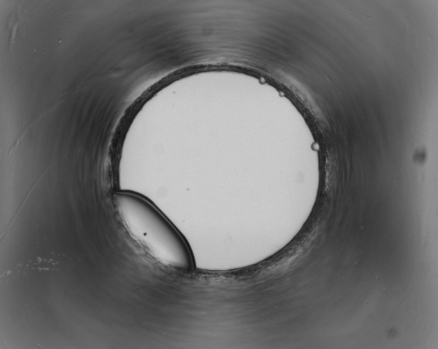 X0000101670876200808071042