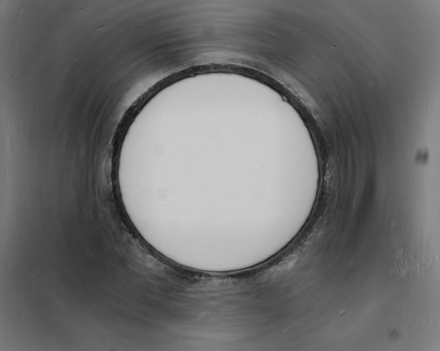 X0000101670877200808071042