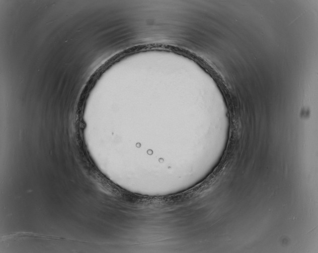 X0000101670879200808071042