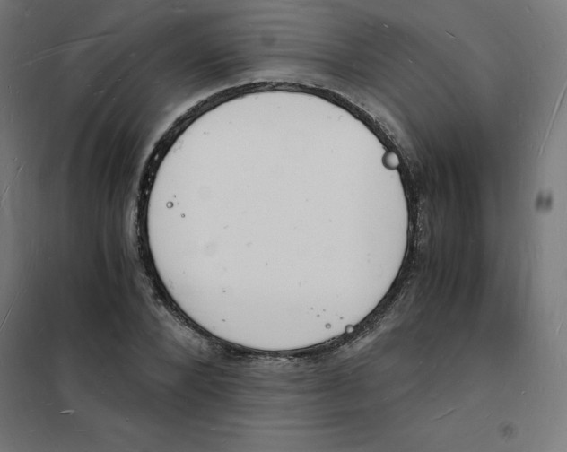 X0000101670880200808071042