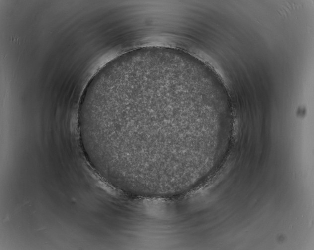 X0000101670882200808071042