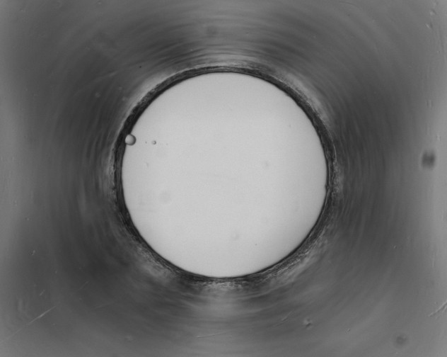 X0000101670883200808071042