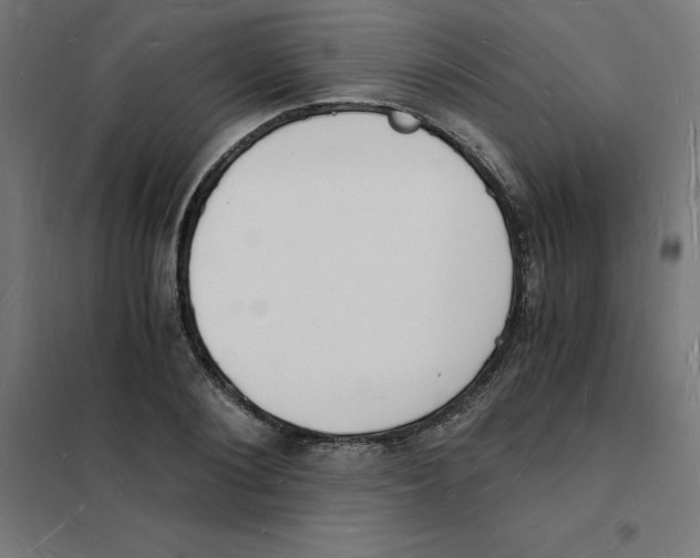X0000101670884200808071042