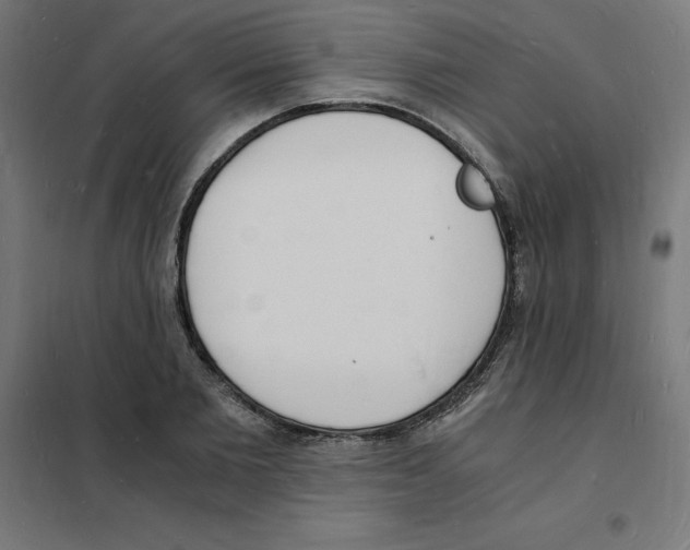 X0000101670885200808071042