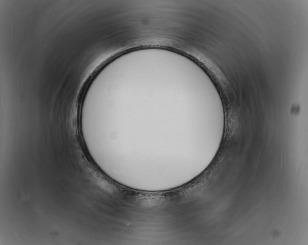 X0000101670886200808071042