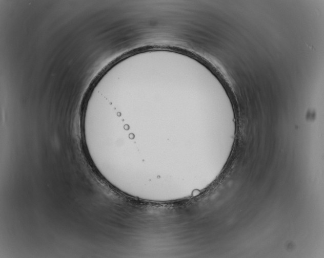 X0000101670887200808071042