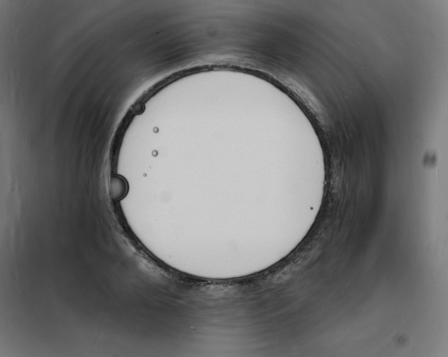 X0000101670888200808071042