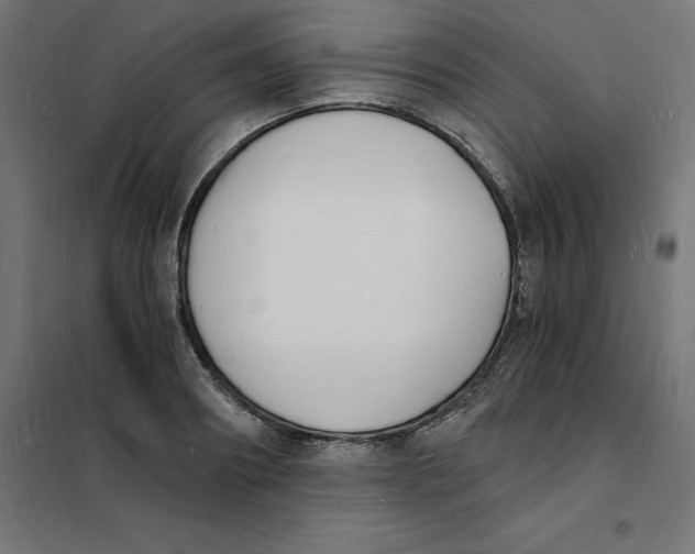 X0000101670890200808071042