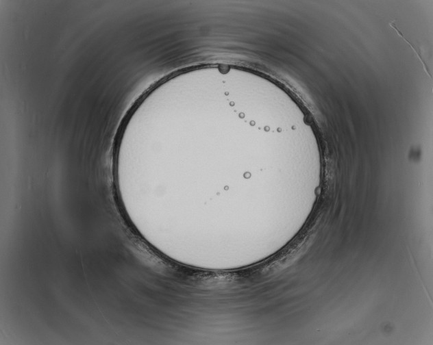 X0000101670891200808071042