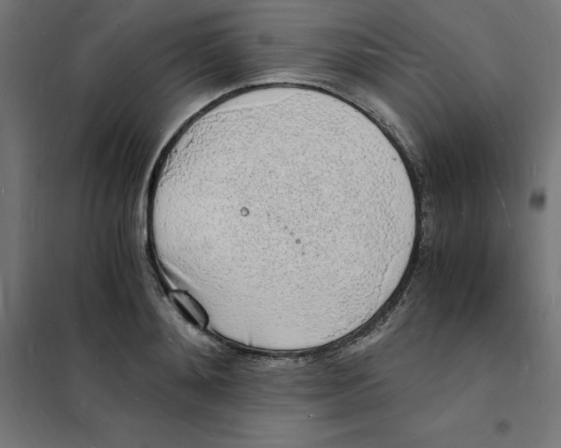 X0000101670892200808071042