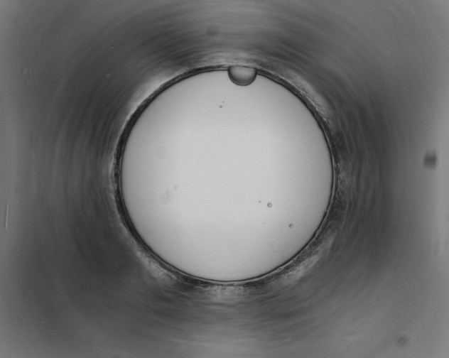 X0000101670893200808071042