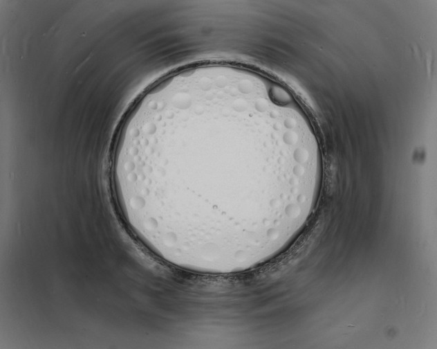 X0000101670895200808071042