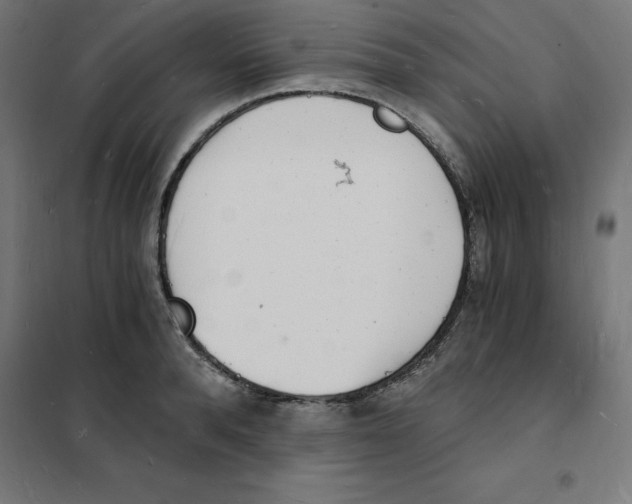 X0000101670896200808071042
