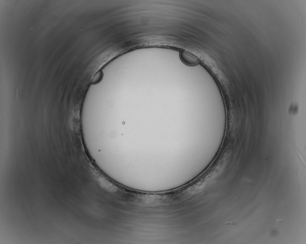 X0000101670897200808071042