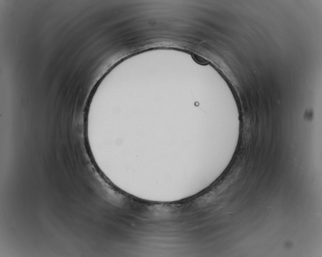 X0000101670898200808071042