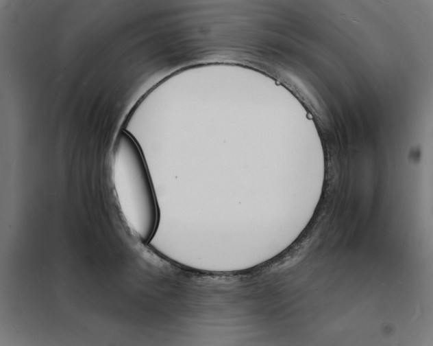X0000101670900200808071042