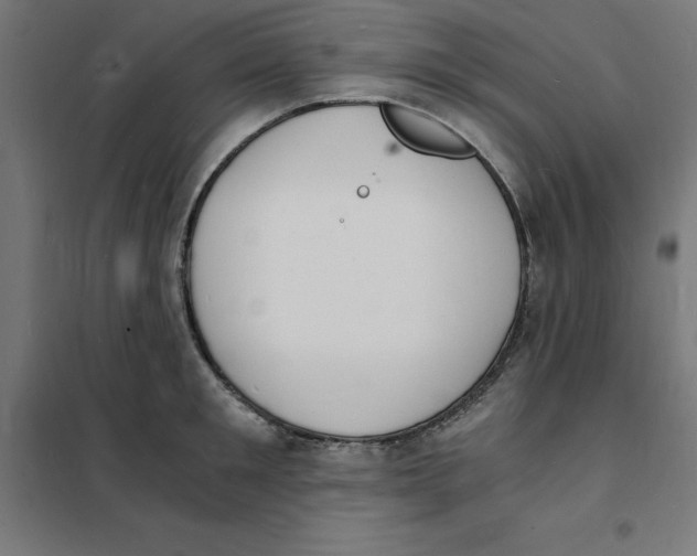 X0000101670901200808071042