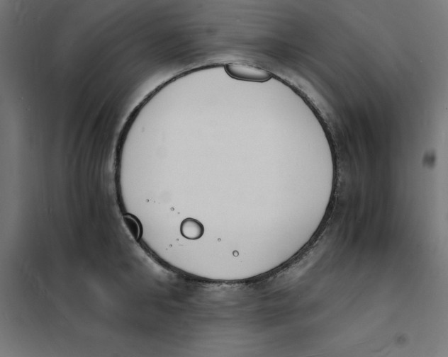 X0000101670902200808071042