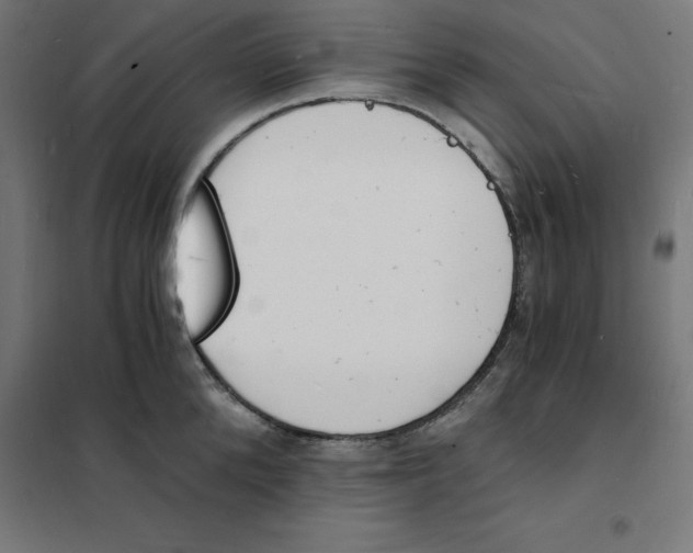 X0000101670904200808071042