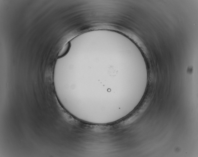 X0000101670905200808071042