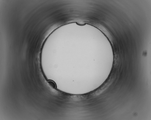 X0000101670906200808071042