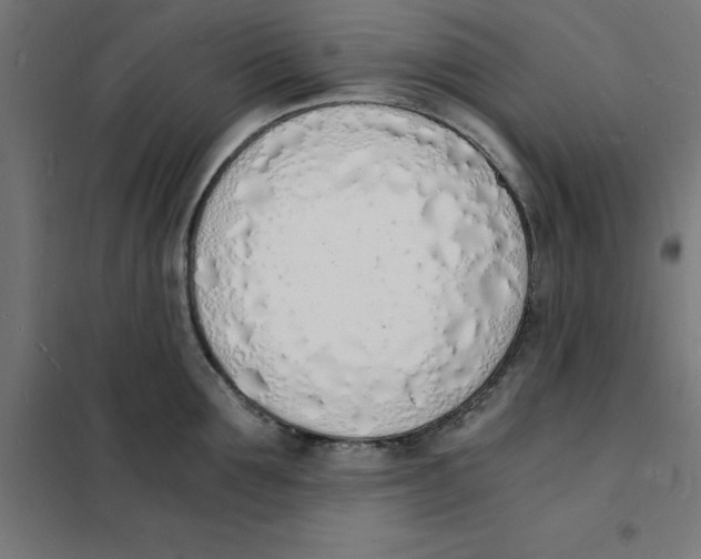 X0000101670907200808071042
