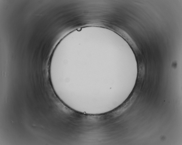 X0000101670908200808071042