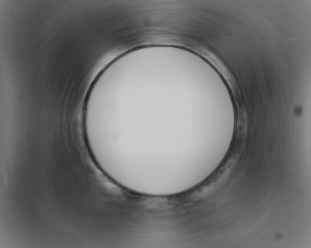 X0000101670909200808071042
