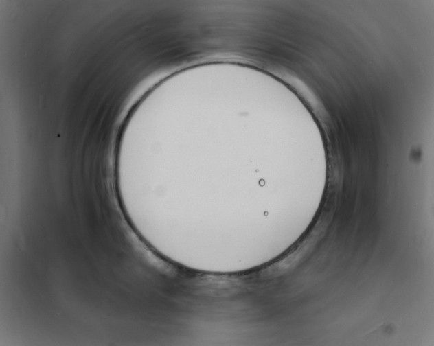 X0000101670910200808071042