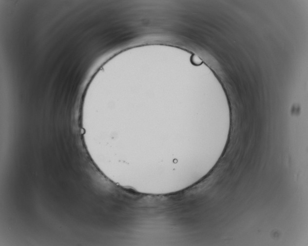 X0000101670912200808071042