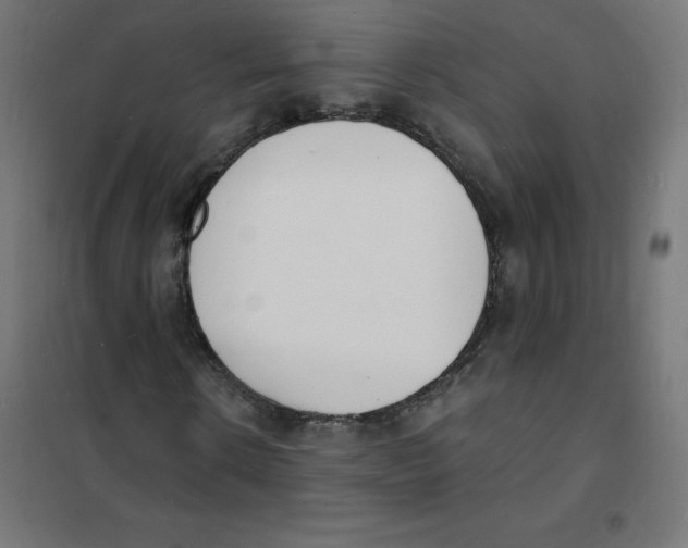 X0000101670914200808071041