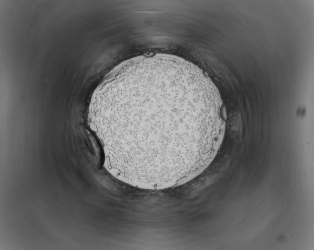 X0000101670916200808071041