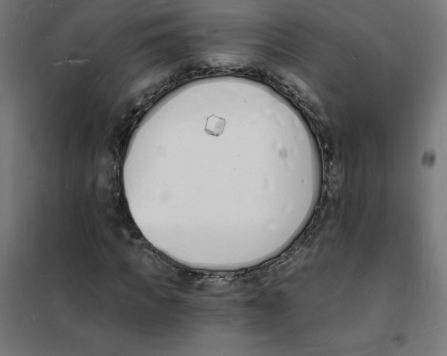 X0000101670917200808071041
