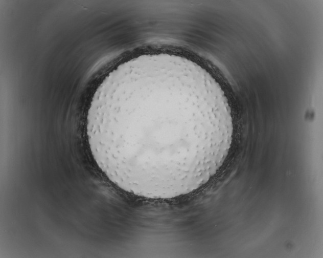 X0000101670919200808071041